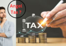 Angel Tax ?